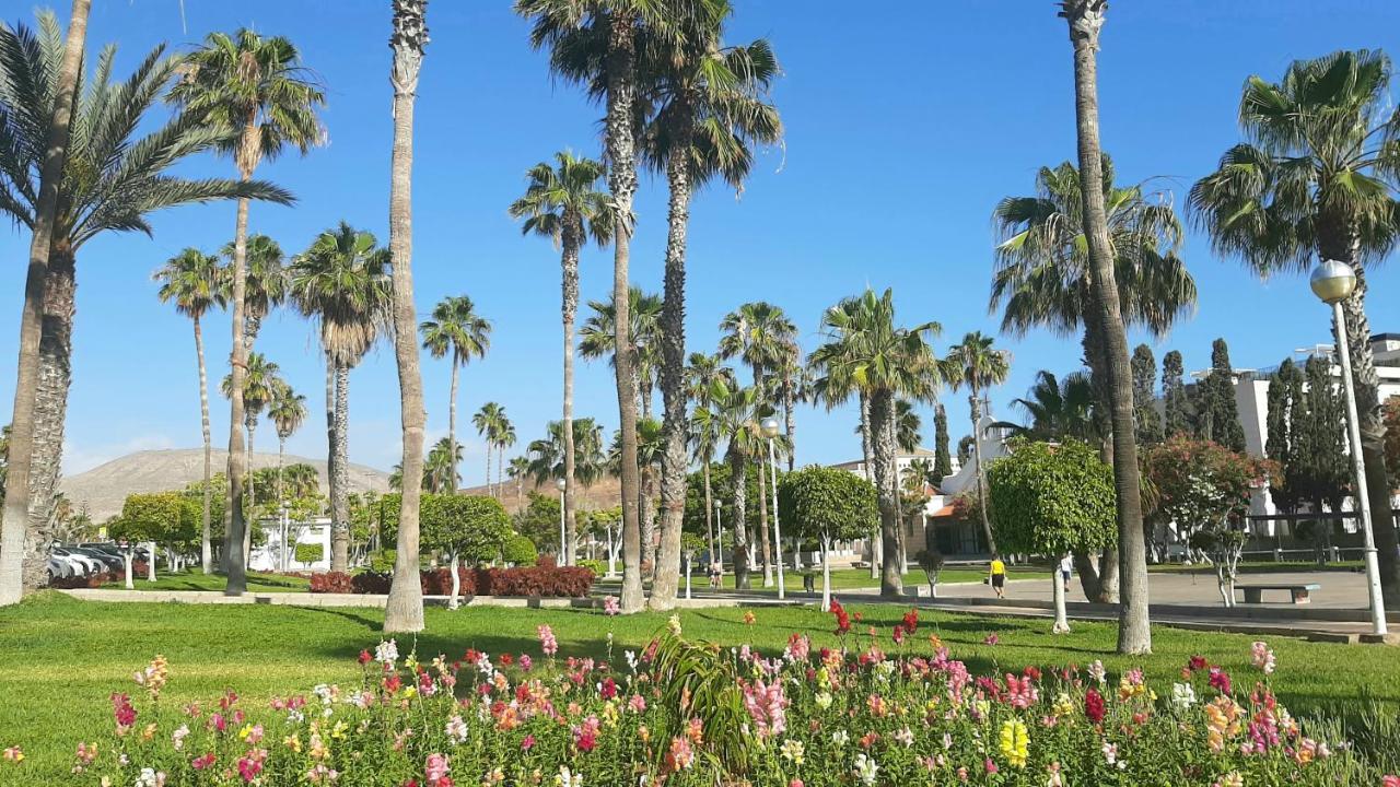 Comfortable Apartment In Las Americas, Ph317 With Pool Next To The Ocean Playa de las Americas  Luaran gambar